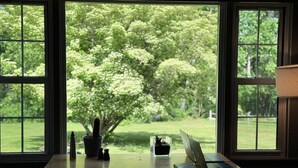 A desk with a laptop, a cactus, and a salt shaker in front of a window with a view of a tree and grass.