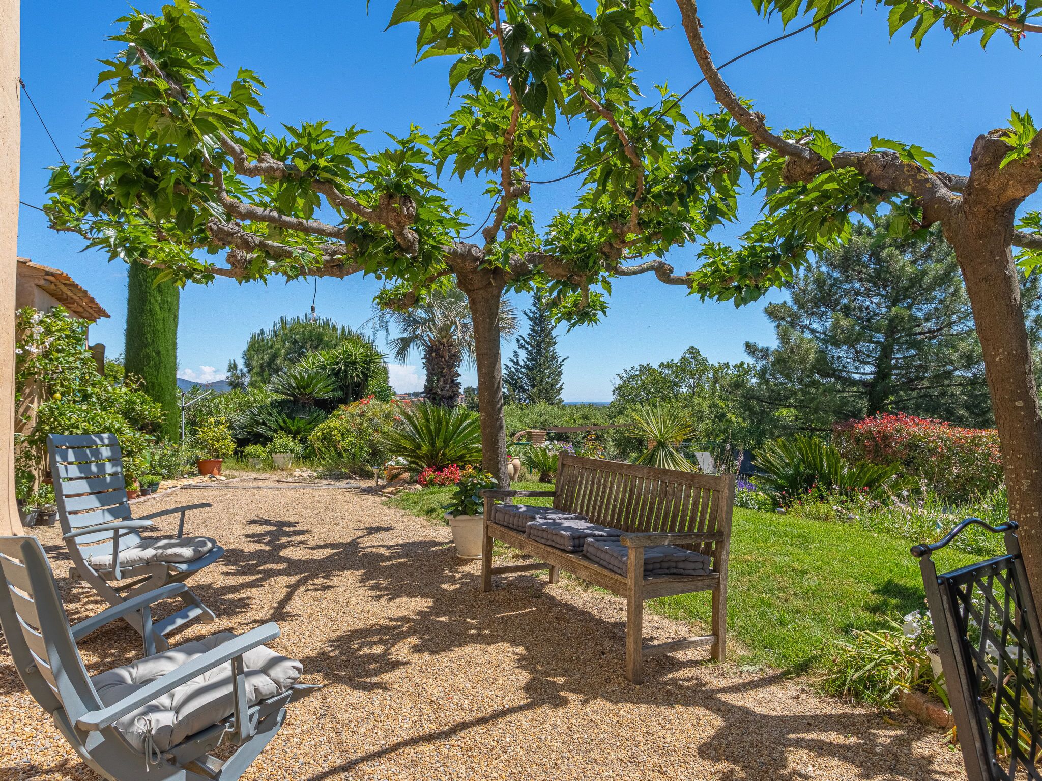 Un jardín con un banco y sillones de descanso, rodeado de plantas y árboles.