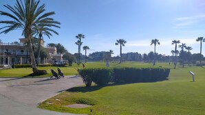 Un parque bien cuidado con un sendero pavimentado, palmeras y un edificio al fondo.