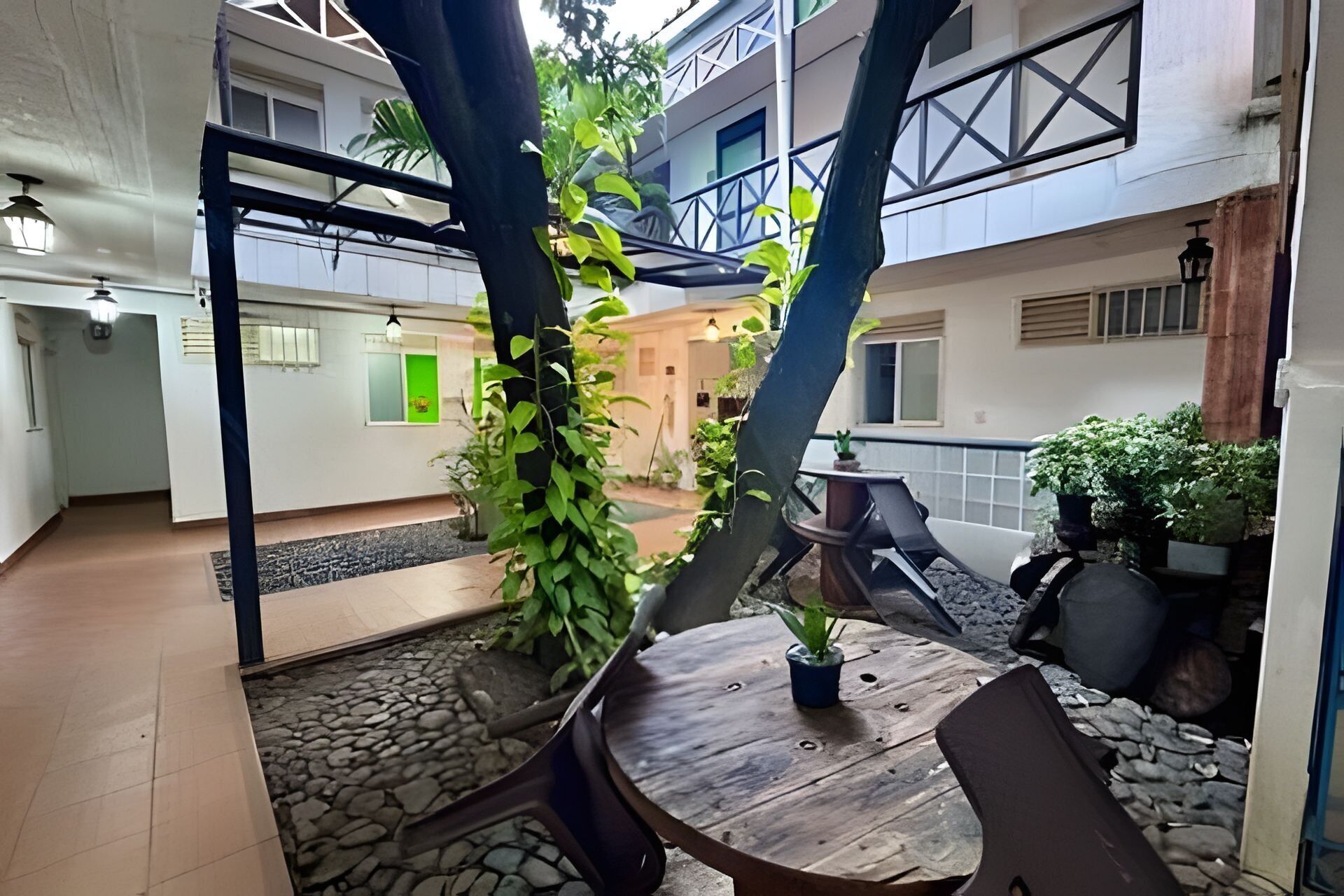 行政公寓 | 露台/庭院