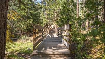 Condo, nhiều giường (Rooted Resort) | Hồ bơi | Hồ bơi ngoài trời, hồ bơi nước nóng