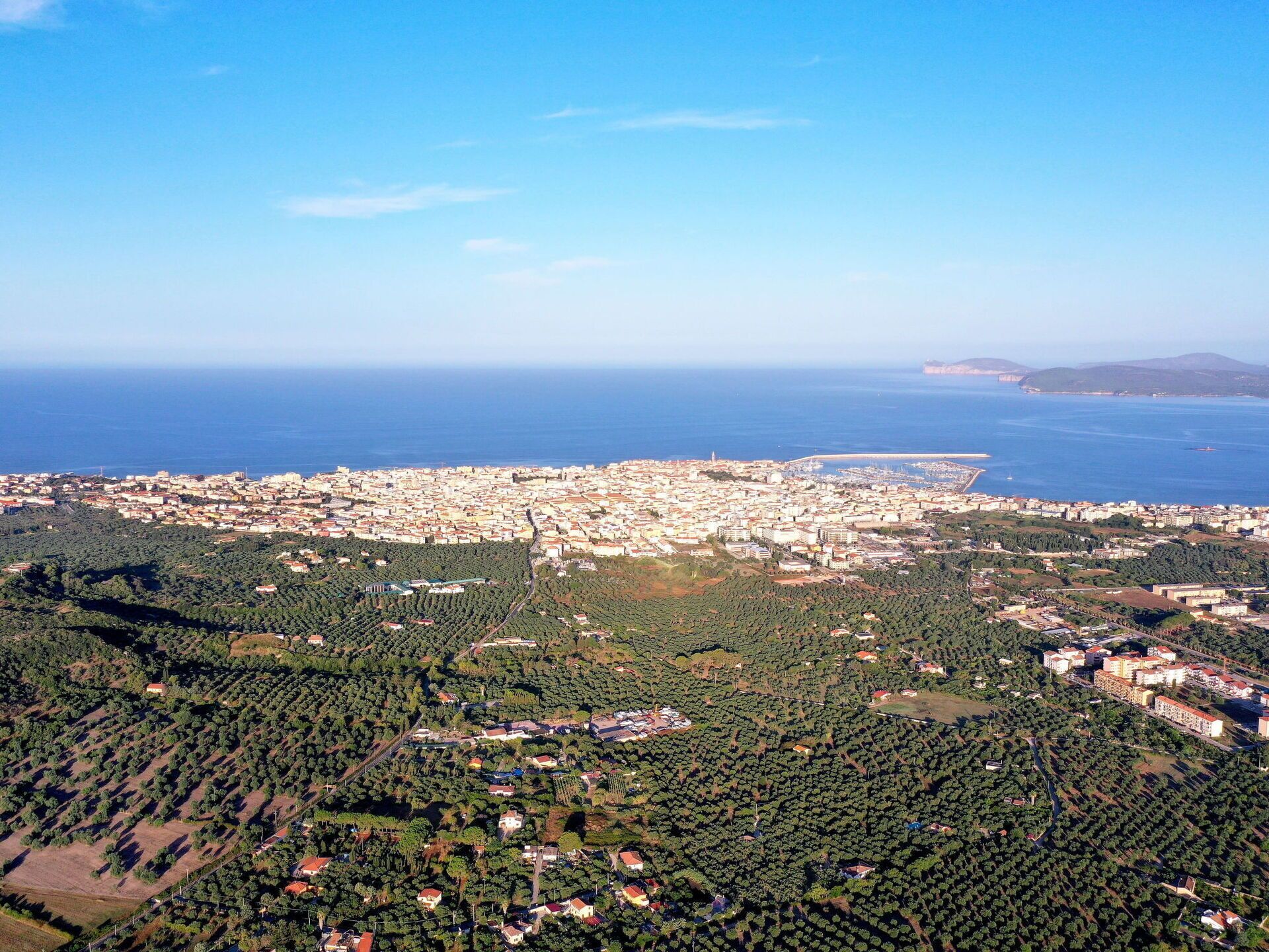 An aerial view of a coastal city with dense urban areas, green spaces, and a coastline.