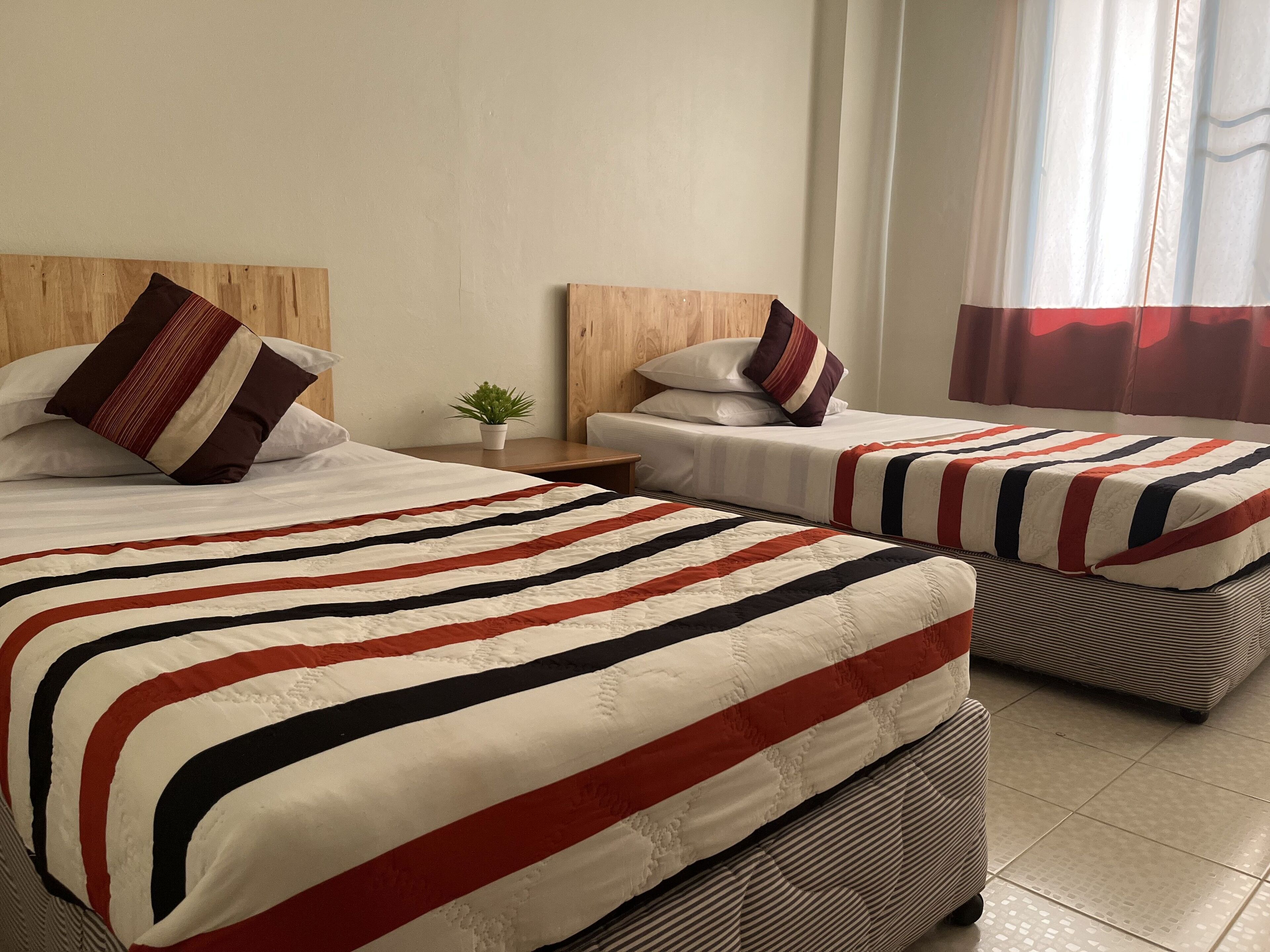 Two single beds with striped bedding, a small table with a plant, and a window with curtains.