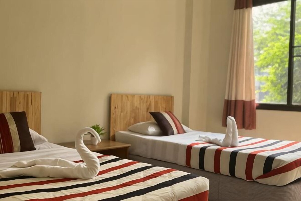Two single beds with striped bedding, wooden headboards, and a window with curtains.