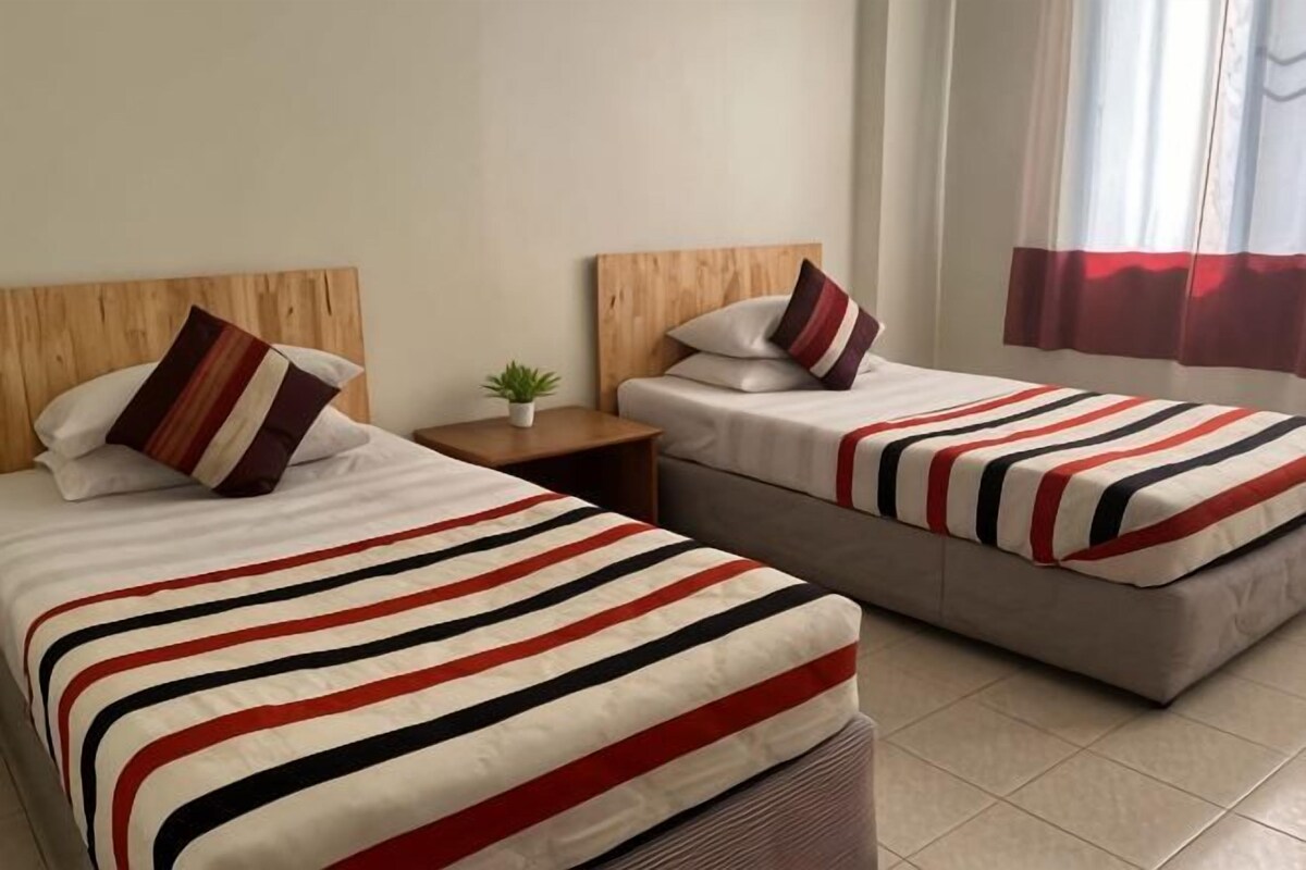 Dos camas con ropa de cama a rayas, una mesita de noche con una planta y una ventana con cortinas.