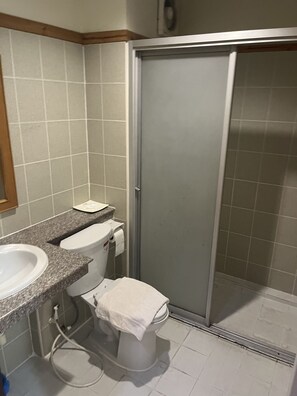 A bathroom with a toilet, sink, and shower.