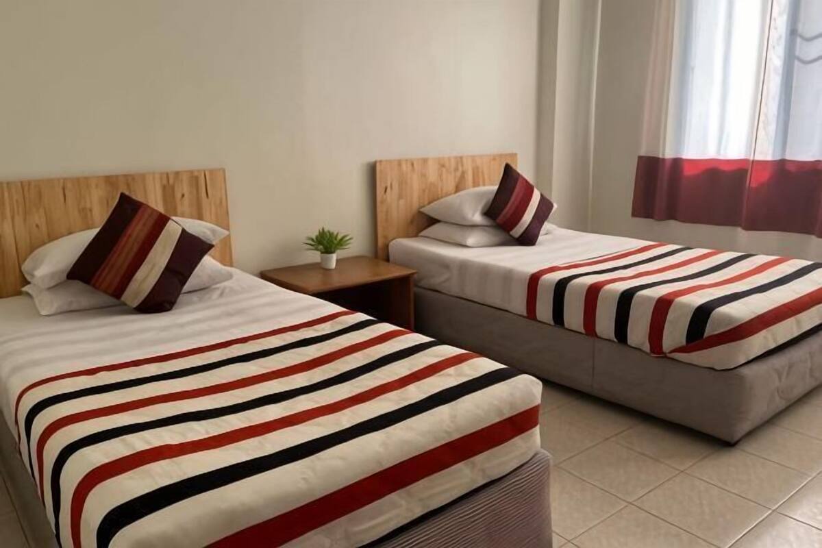Two beds with striped bedding, a small bedside table with a plant, and a window with curtains.