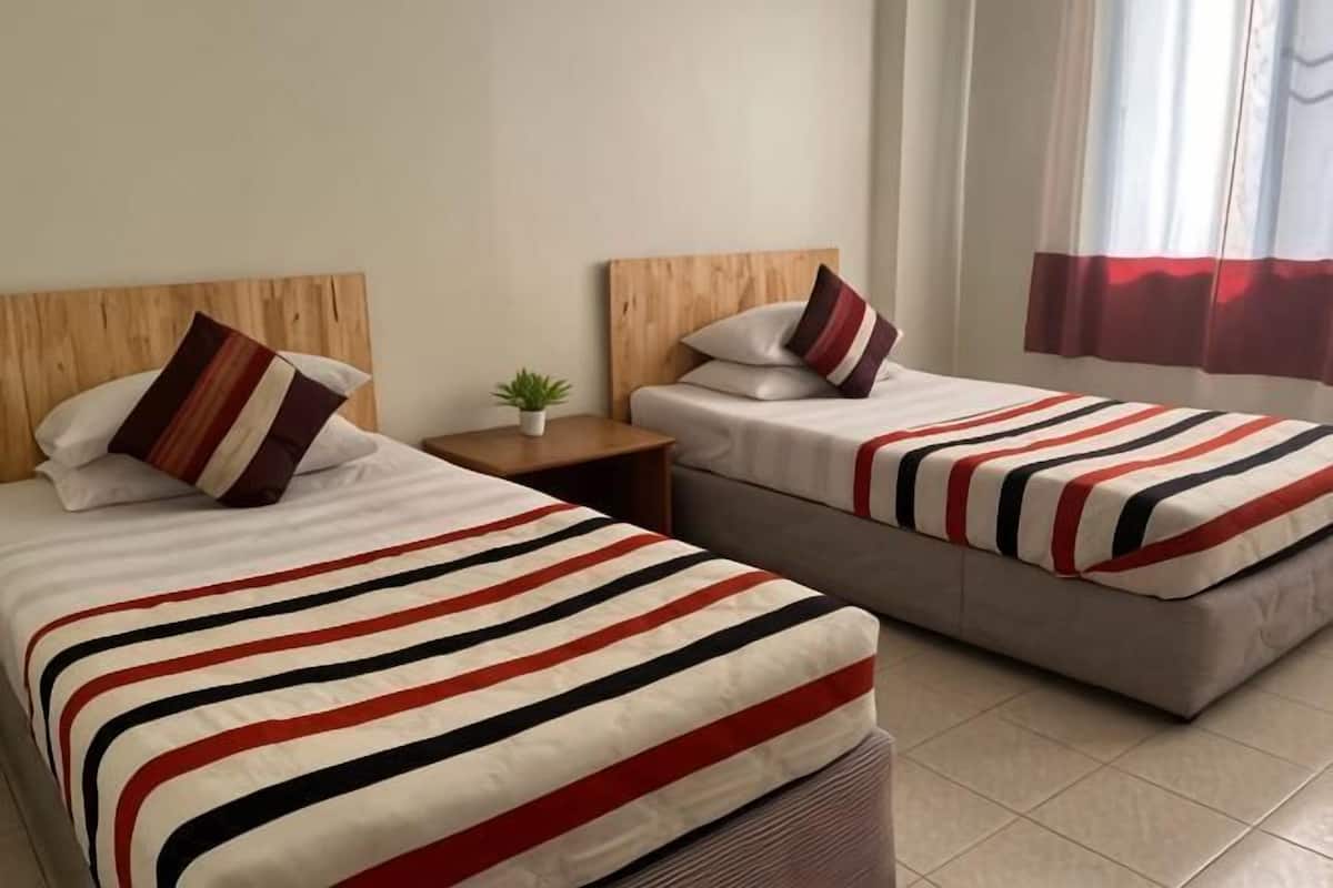Two beds with striped bedding, a small bedside table with a plant, and a window with curtains.