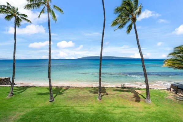 Ein Strand mit Palmen und freiem Blick auf den Ozean.