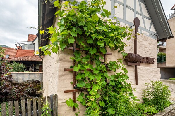 Detalle del exterior