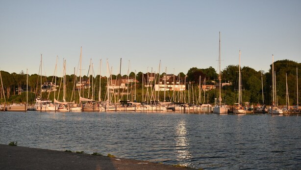 Un port de plaisance où sont amarrés de nombreux voiliers, entouré d’immeubles résidentiels et d’arbres.
