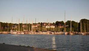 A marina with multiple sailboats docked, surrounded by residential buildings and trees.