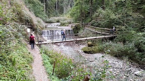 Un pont en bois enjambant un ruisseau dans une zone boisée, avec un sentier menant au pont.