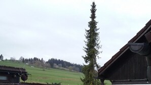 Un edificio rústico con un letrero que dice 'Haus 15' y un árbol grande al frente.