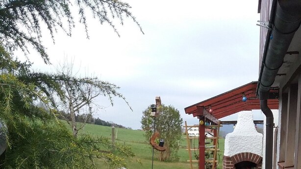 Un patio pavimentato con un forno a mattoni, una pergola in legno e un giardino fiorito con una casetta per gli uccelli.