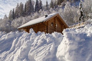 Exterior - Chalet "Zwoasom" with Mountain View, Private Terrace & Wi-Fi (Großarl)