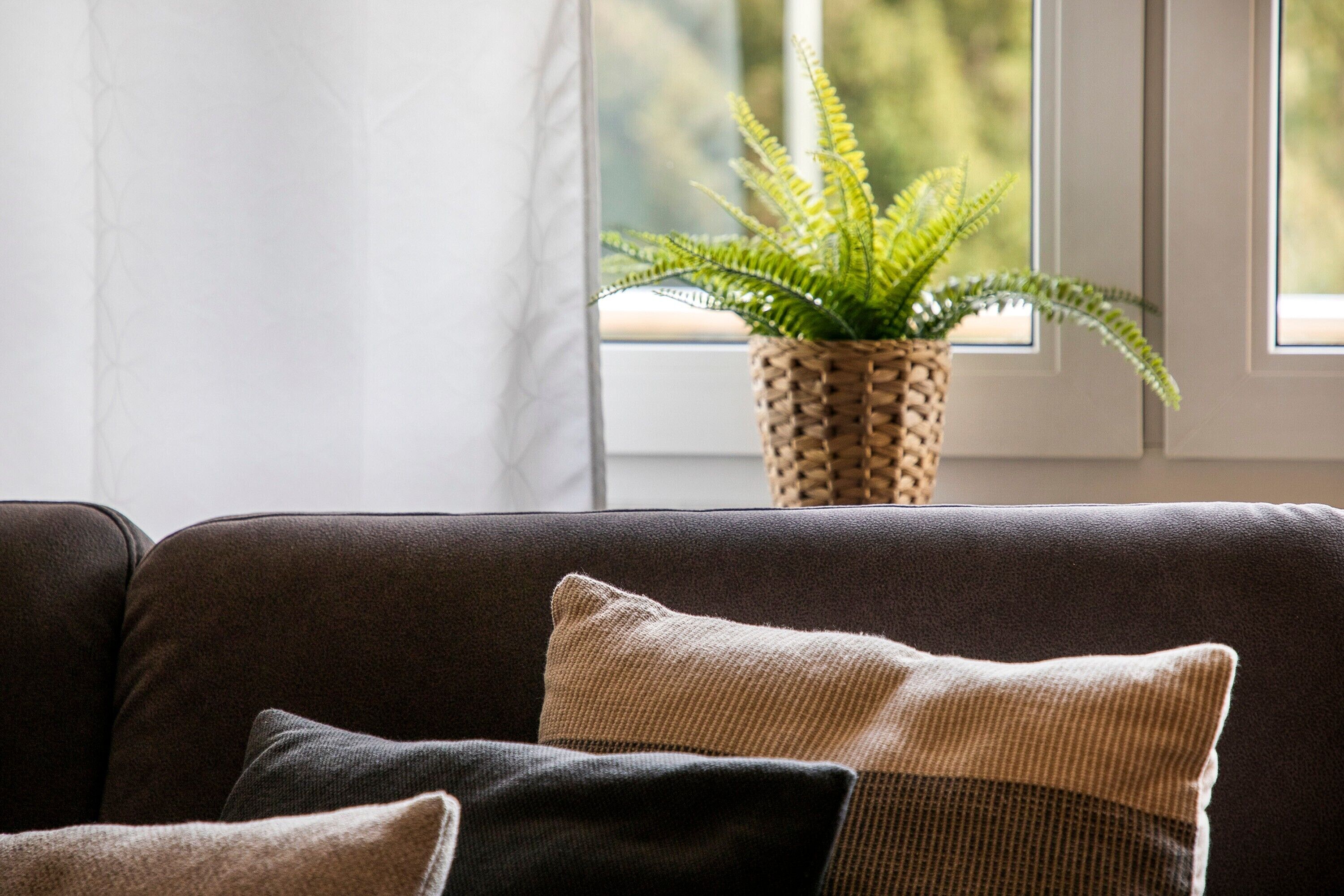 A dark-colored sofa with a woven plant pot on a windowsill.
