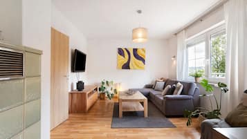 Televisor, videojocs, reproductor de DVD i taula de tennis de taula