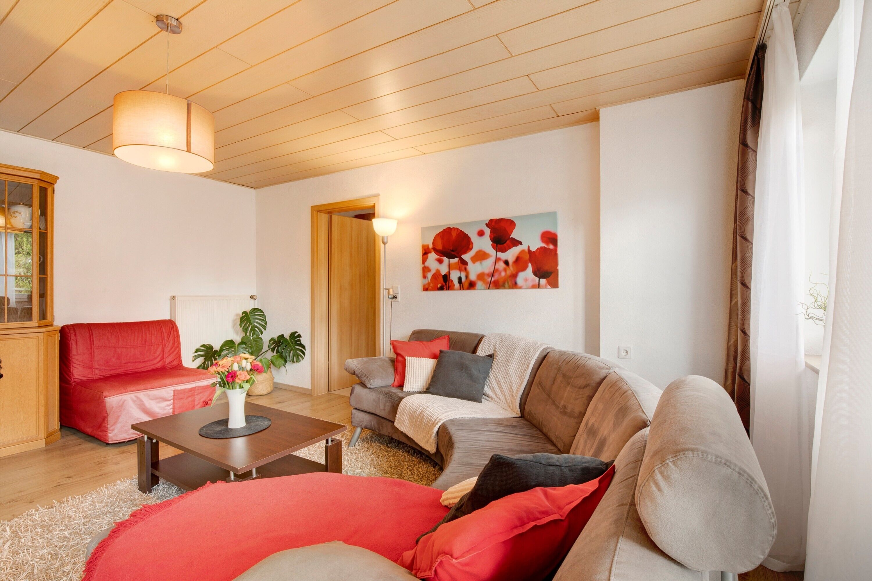 Télévision, lecteur de DVD, table de tennis de table, chaîne hi-fi