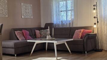 TV, DVD player, ping pong, stereo