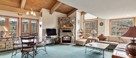 Smart TV, fireplace, DVD player, books