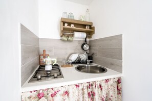 Fridge, stovetop, cookware/dishes/utensils