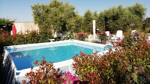 Ein rechteckiger Pool, umgeben von üppiger Vegetation und Bäumen.