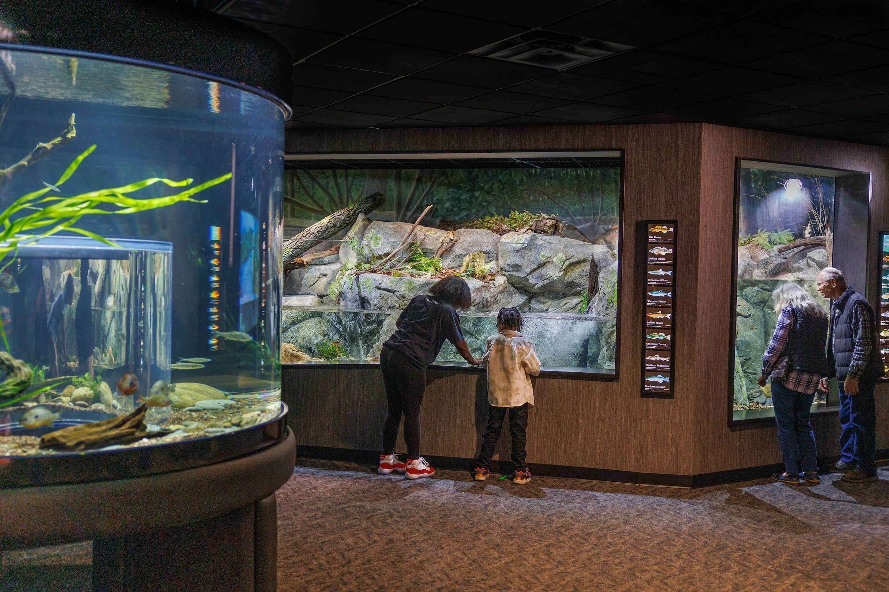 Un aquarium doté d’un grand aquarium, de panneaux d’information et d’une reconstitution d’un habitat rocheux.