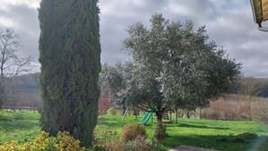 Ein Park mit einer grünen Rutsche, einem hohen Baum und einer Rasenfläche.