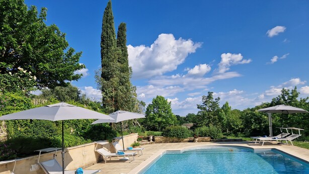 Ein Schwimmbecken mit Liegestühlen und Sonnenschirmen, umgeben von viel Grün und einem hohen Baum.