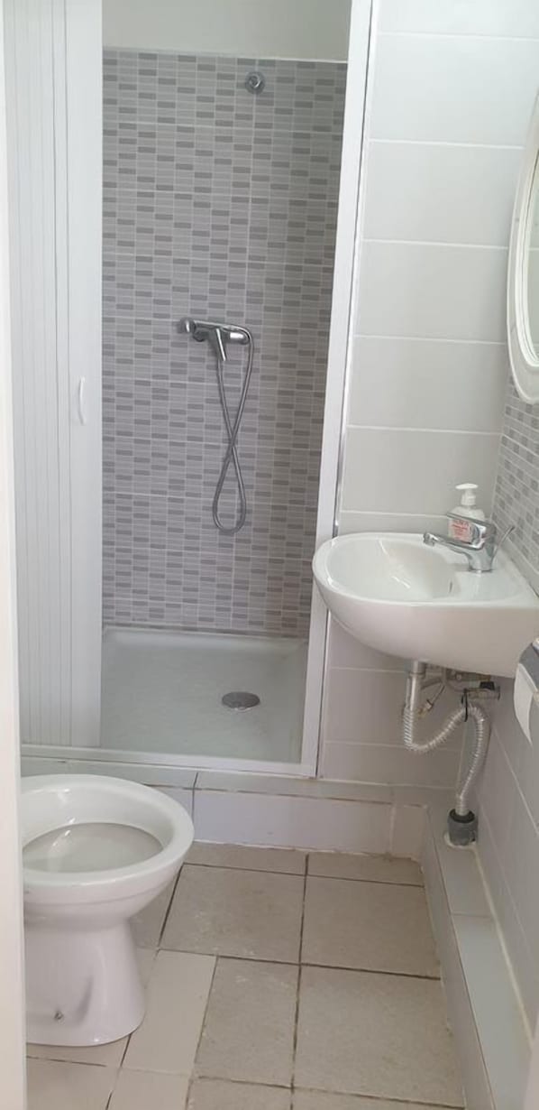 Un baño con ducha, inodoro y lavabo.