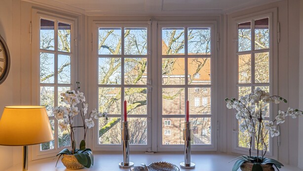 A room with large windows, a lamp, and two potted orchids. - fewo1846 - Villa Royal (Flensburg)