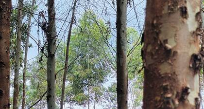 simbalikambako hotel