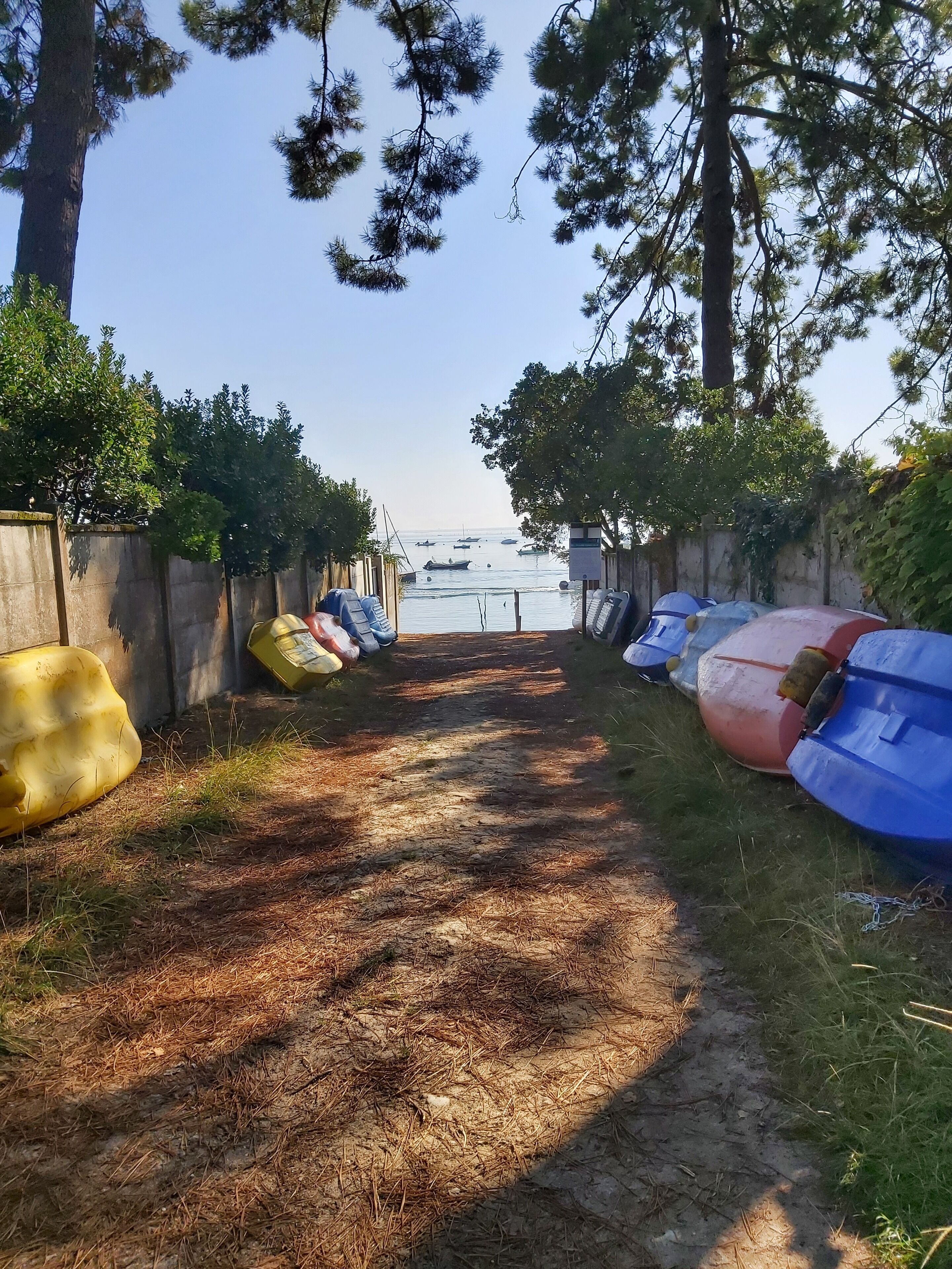 A pathway leading to a beach with boats lined up on the sides.