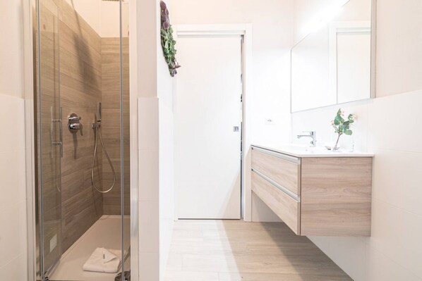 Shower, hair dryer, bidet, towels