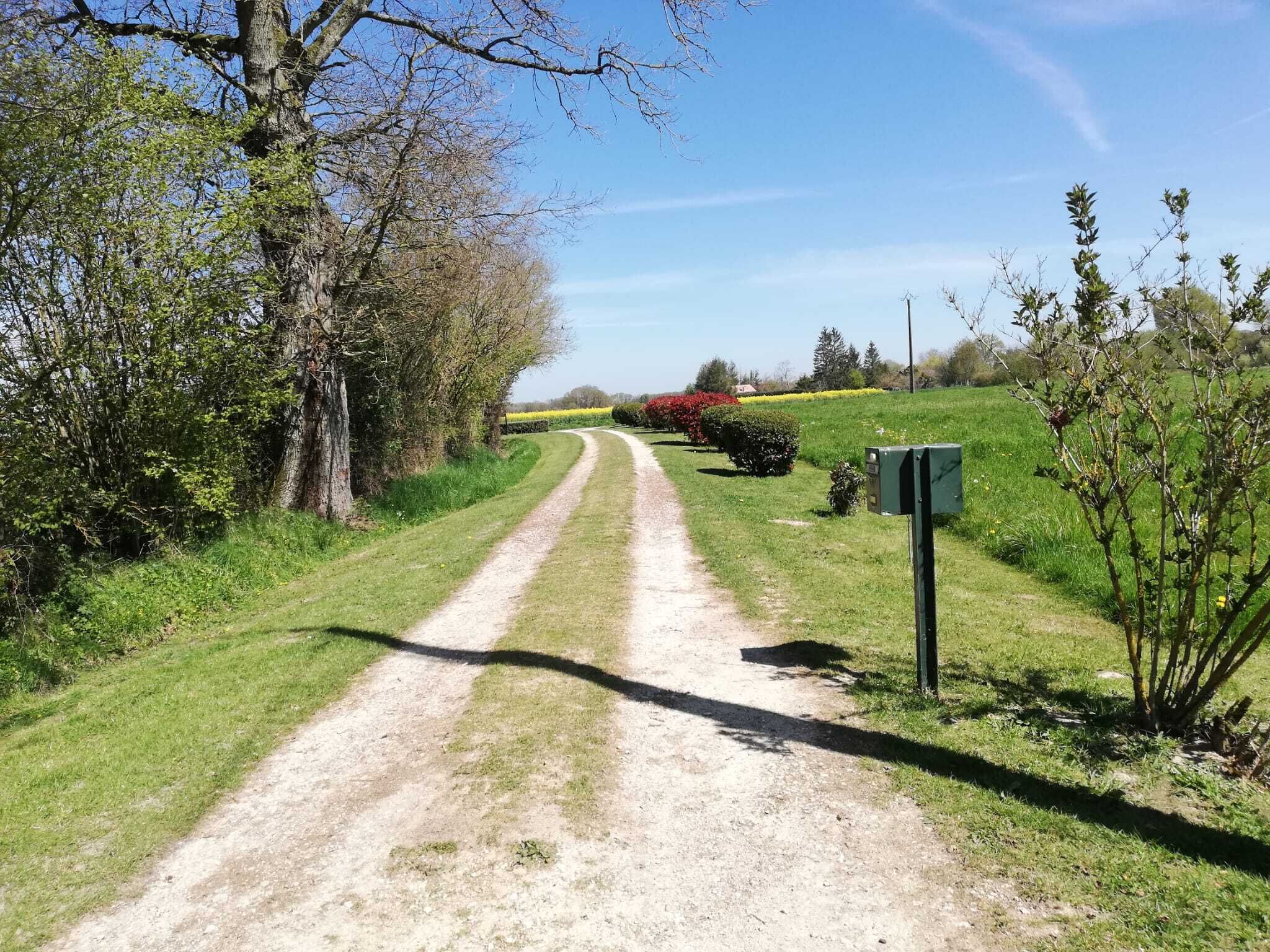 A rural dirt road flanked by trees and fields.