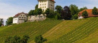 Hotel Restaurant Sternen