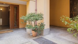 Une plante en pot dans une cour avec un sol carrelé, une porte et un mur muni d’un luminaire.