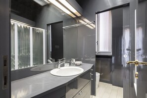 Shower, hair dryer, bidet, towels
