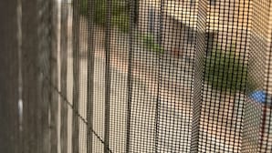 Gros plan d’un écran grillagé sur fond flou, qui pourrait être une fenêtre ou une porte.