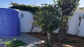 Un patio con piso de baldosas, un árbol pequeño y una pared blanca.