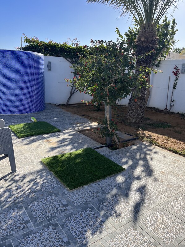 Un patio con piso de baldosas, un árbol pequeño y una pared blanca.