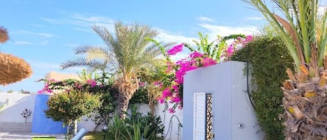 A resort with a white building, a palm tree, and pink flowers.