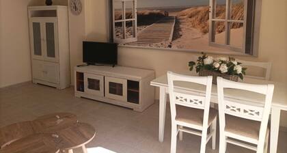 Apartment La Plaza 100 m from beach, boulevard, terraces in Campello Costa Blanc