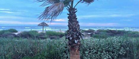 بالقرب من الشاطئ