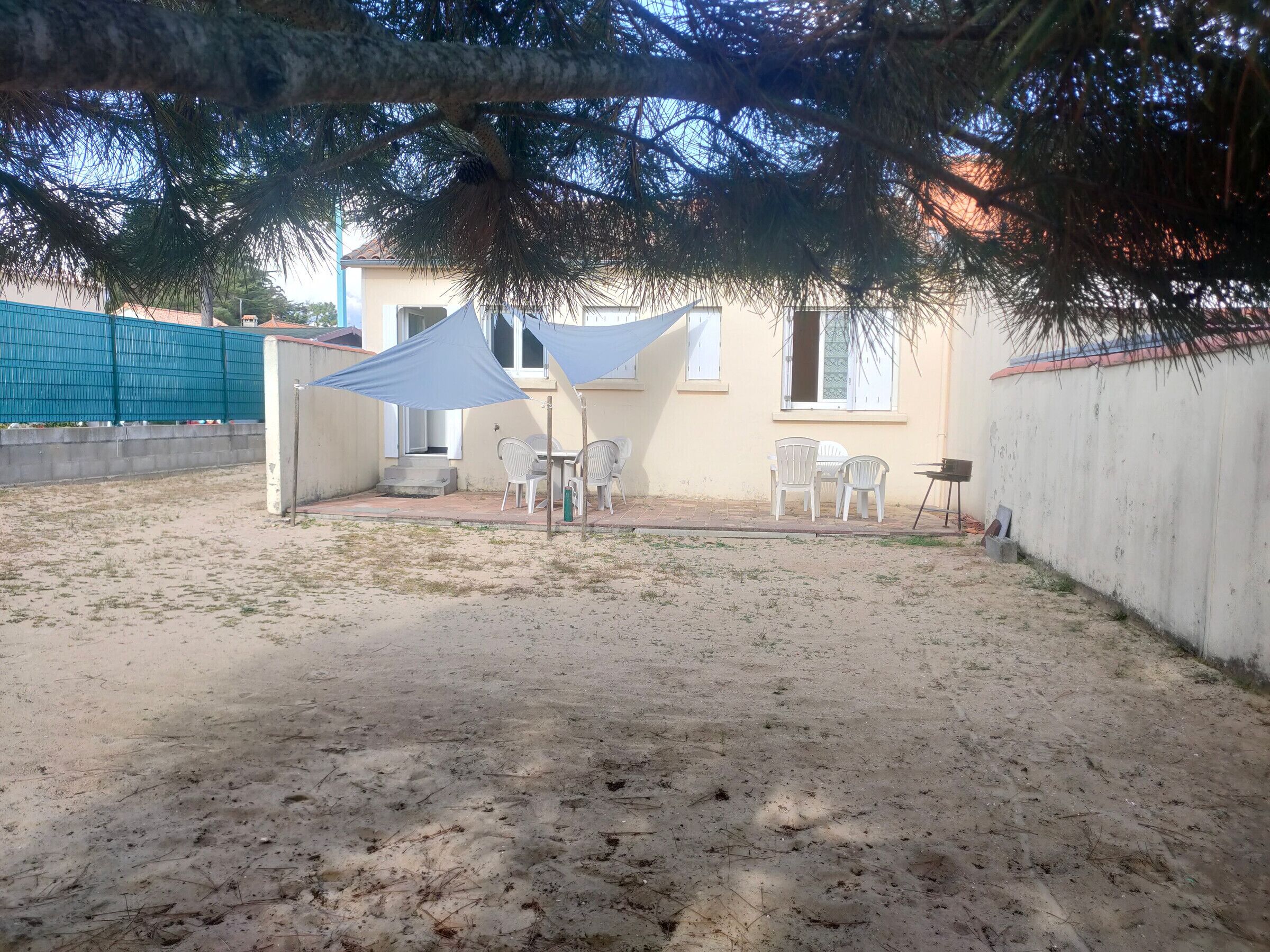 A backyard with a patio area, including a table and chairs, under a large tree.