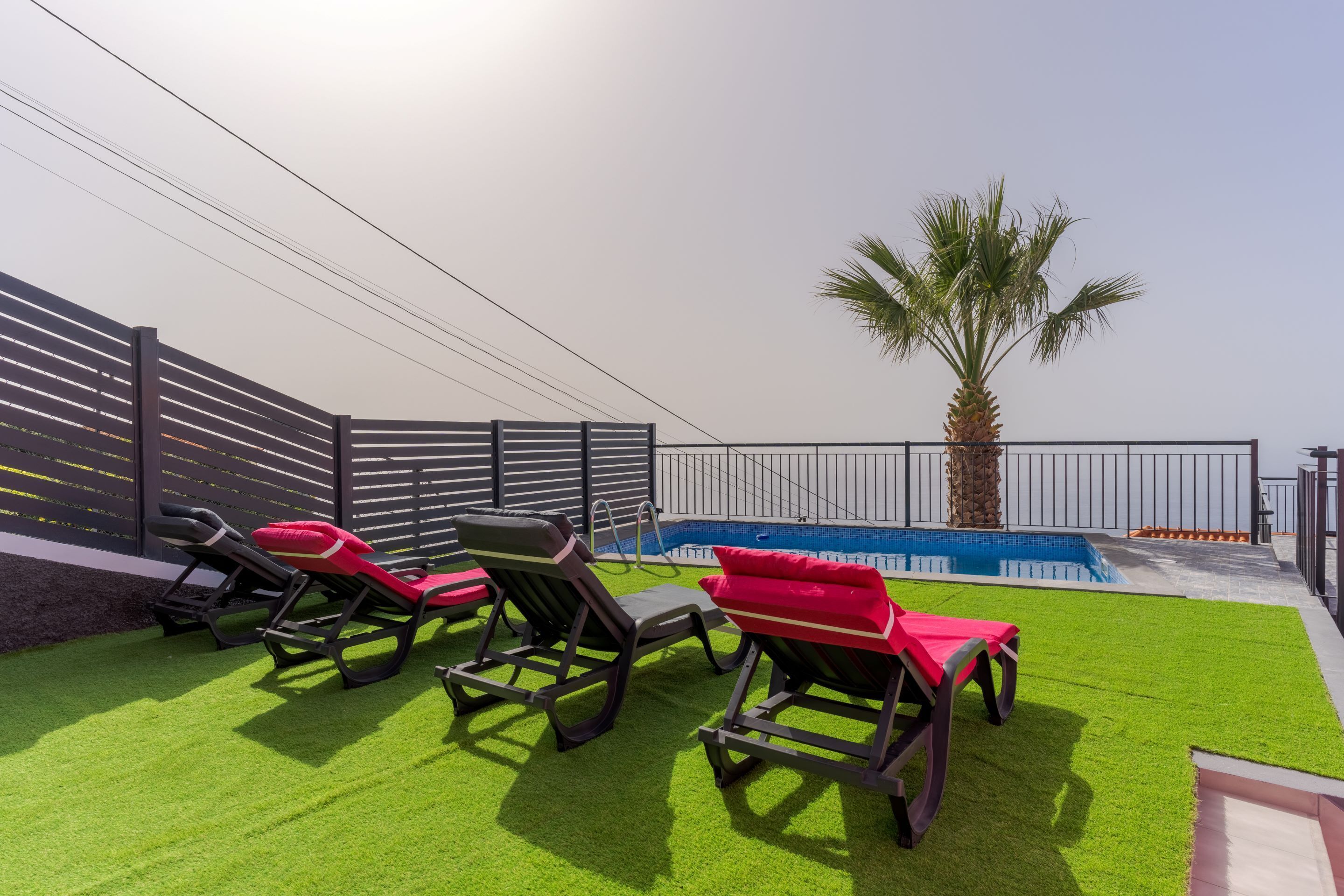 Un área de piscina en la azotea con césped artificial, sillas de descanso y una palmera.