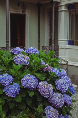 Jardin