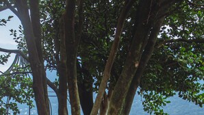 Jardín