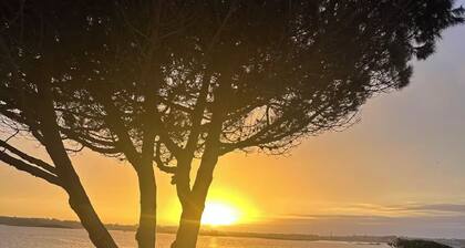 Villa Les Dunes : vue Incroyable et Accès Direct à la mer